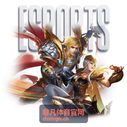 非凡体育官网观赛服务与票务核验配图